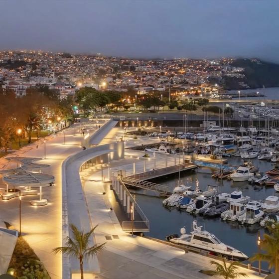 Marina do Funchal lit up at dusk, seen from above — the departure point for every Chifbay trip