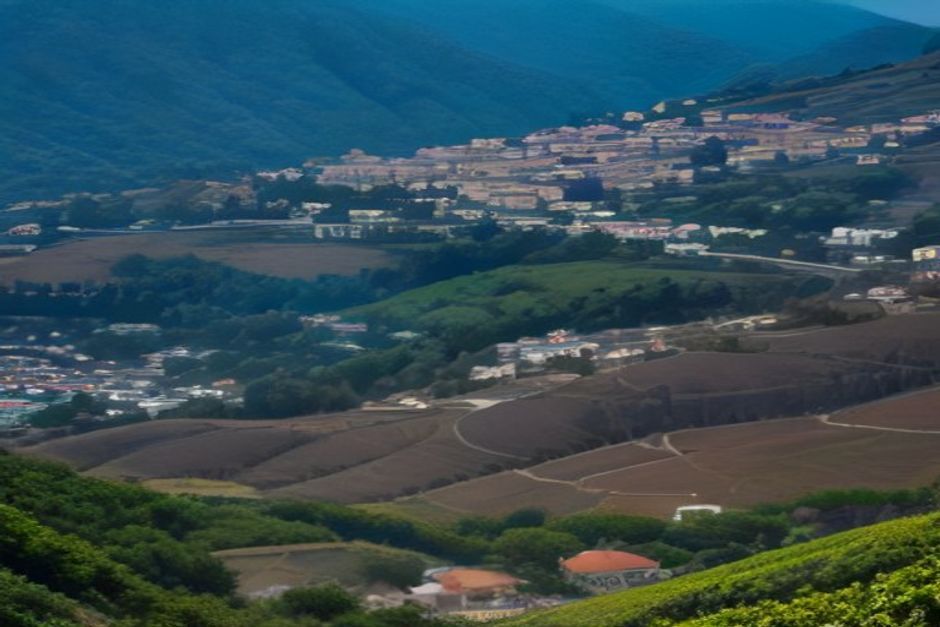 Fiesta del Vino de Madeira 2026: vendimia, pisado de la uva y dónde verla — detalle